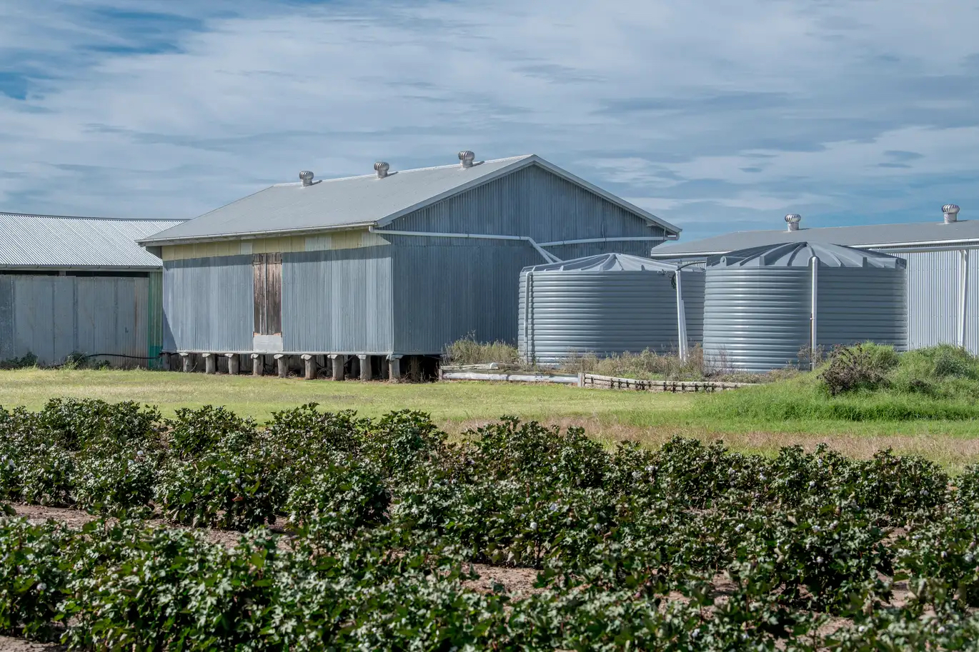 Clark Tanks installed beside shed